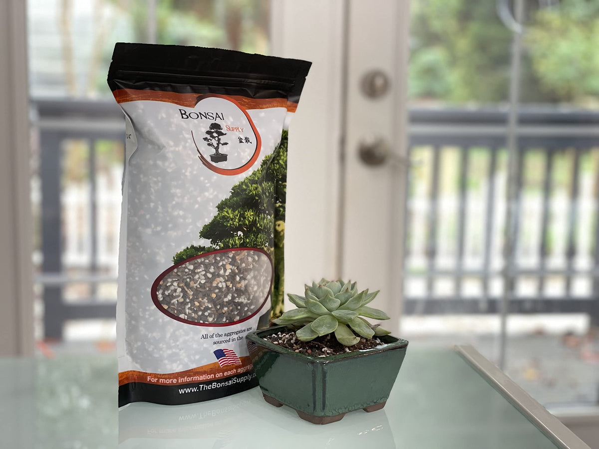 All bonsai varieties supported by The Bonsai Supply soil mix for versatility.