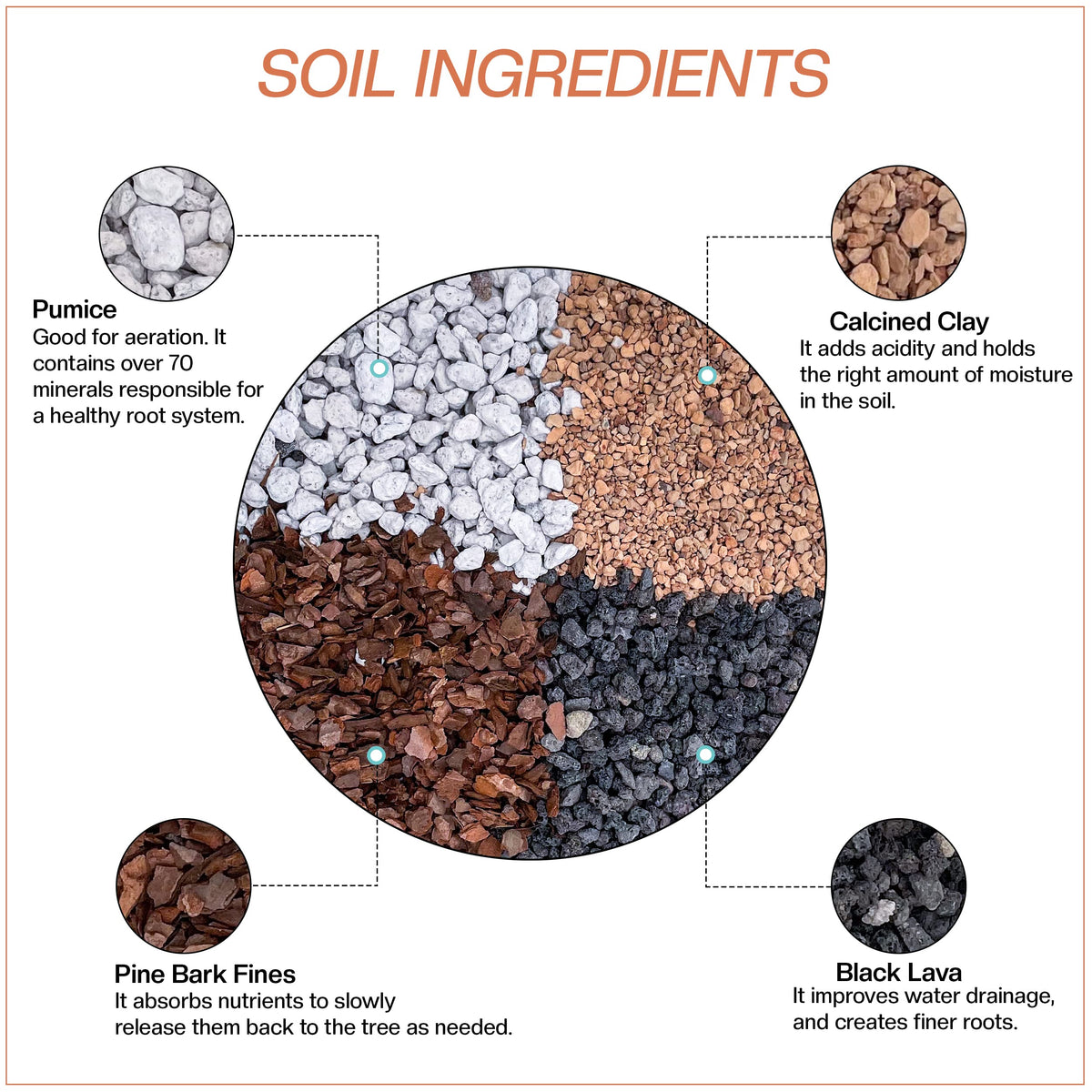 The Bonsai Supply optimal drainage and pH blend supports healthy bonsai growth.