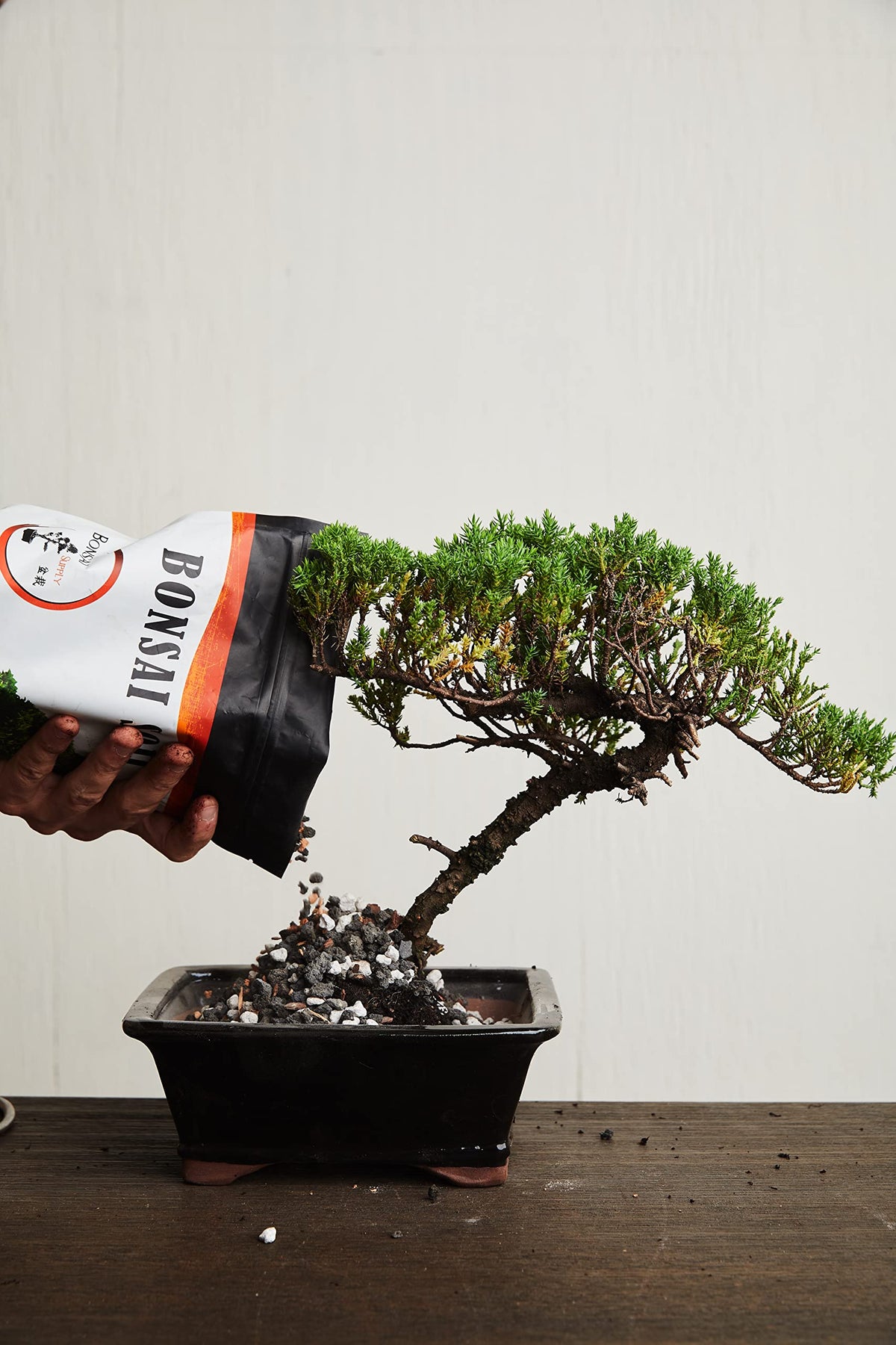 The Bonsai Supply USA-sourced aggregates ensure local quality and consistency.