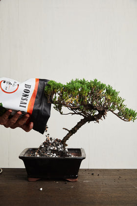 The Bonsai Supply USA-sourced aggregates ensure local quality and consistency.