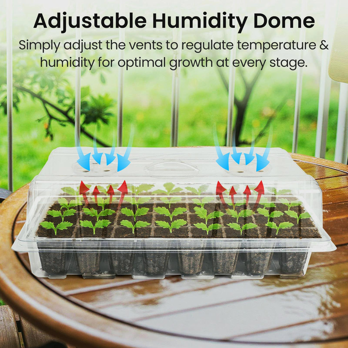 Bonviee 12-LED lamp provides steady light for indoor seedling development.