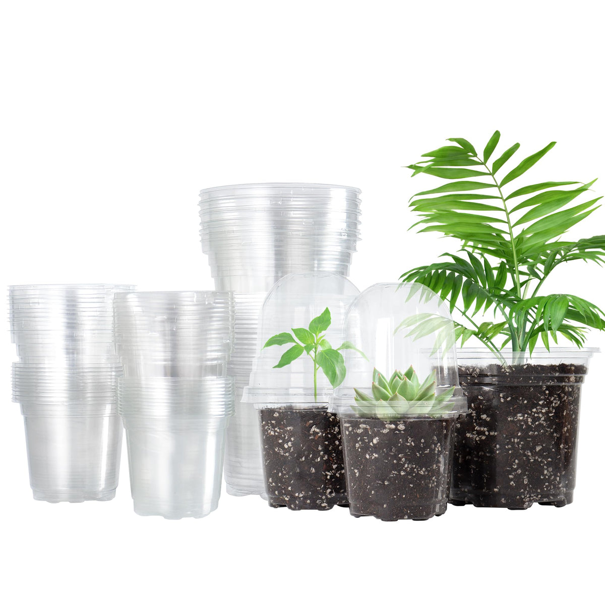 Bonviee 3.5-inch clear nursery pot with dome shows root visibility and drainage.