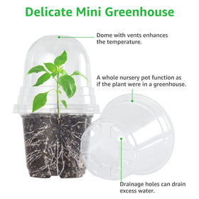 Bonviee 5-inch clear pot with dome supports seed germination and root inspection.