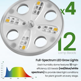 Bonviee clear base tray enables easy monitoring of root and shoot growth.