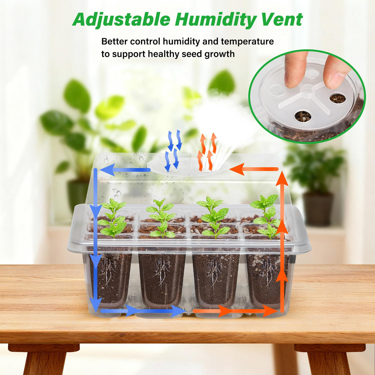 Bonviee clear base tray enabling root monitoring without disturbance