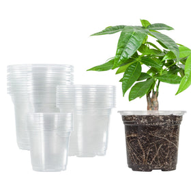 Bonviee clear nursery pot 3.5 inch with drainage holes for seed starting.