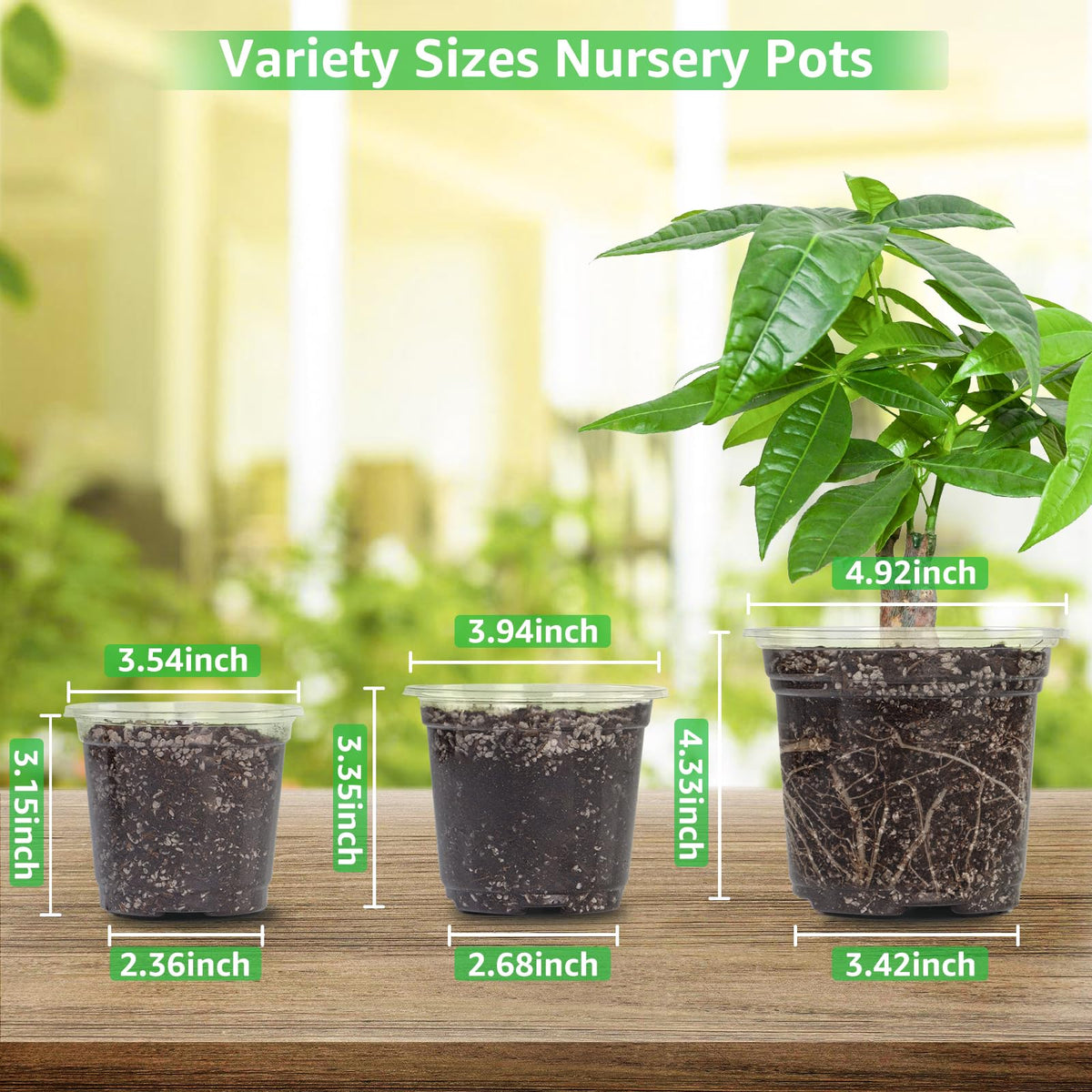 Bonviee clear nursery pot 4 inch ideal for small plant transplants and observation.