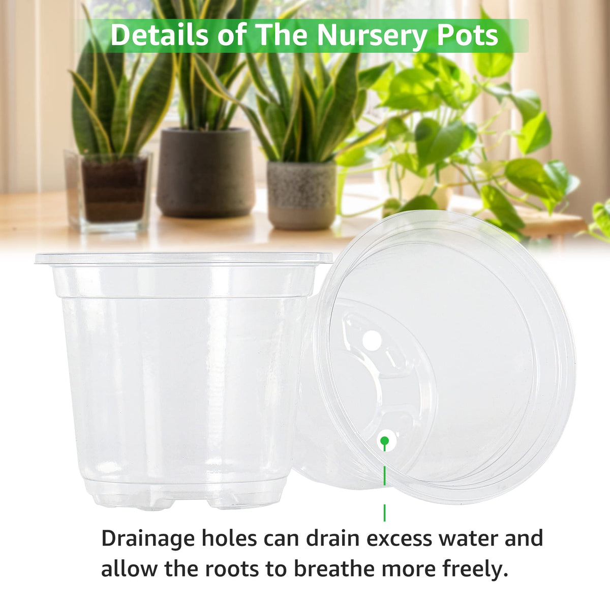 Bonviee clear nursery pot 5 inch for larger seedlings and root growth visibility.