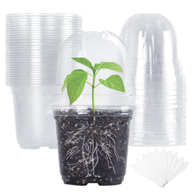Bonviee clear 4-inch nursery pots for easy plant monitoring