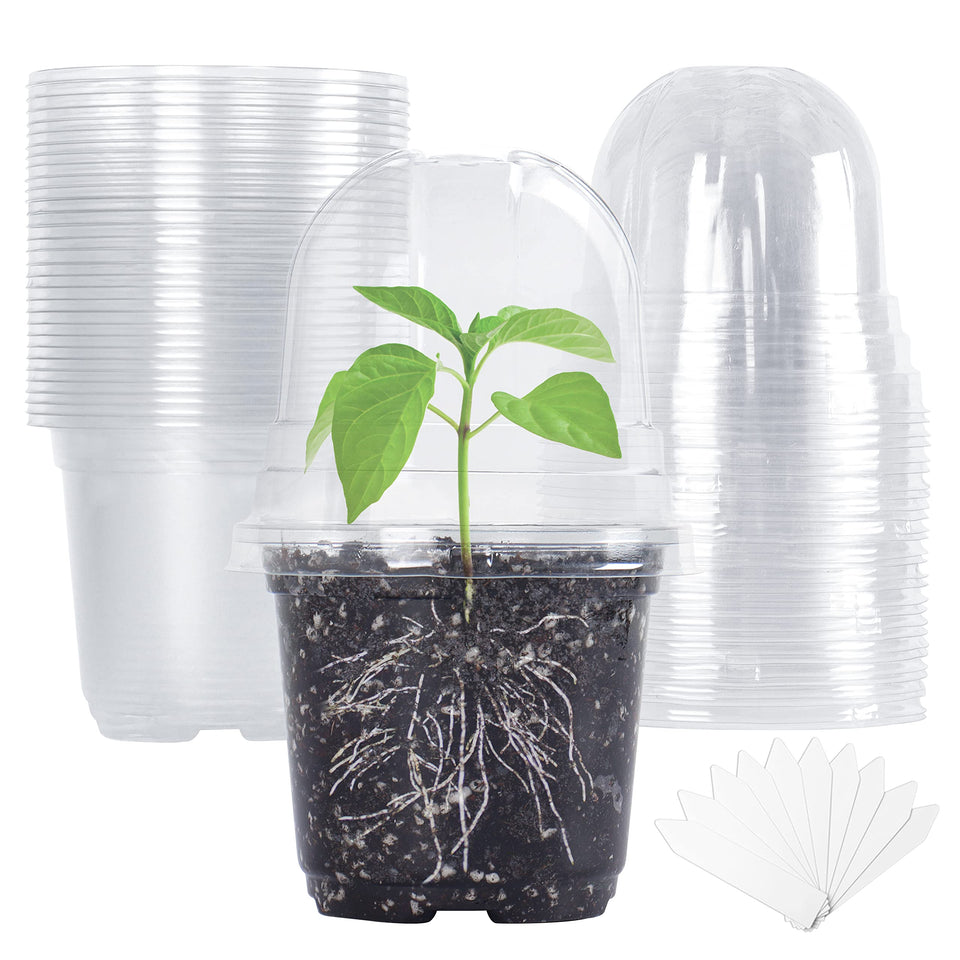 Bonviee clear 4-inch nursery pots for easy plant monitoring