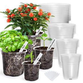 Bonviee clear nursery pots collection showing transparent walls for root watching and watering accuracy.