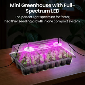 Bonviee clear observation tray helps track progress without disturbance.