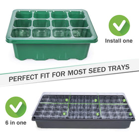 Bonviee clear 12-cell tray supports easy repotting without root damage.