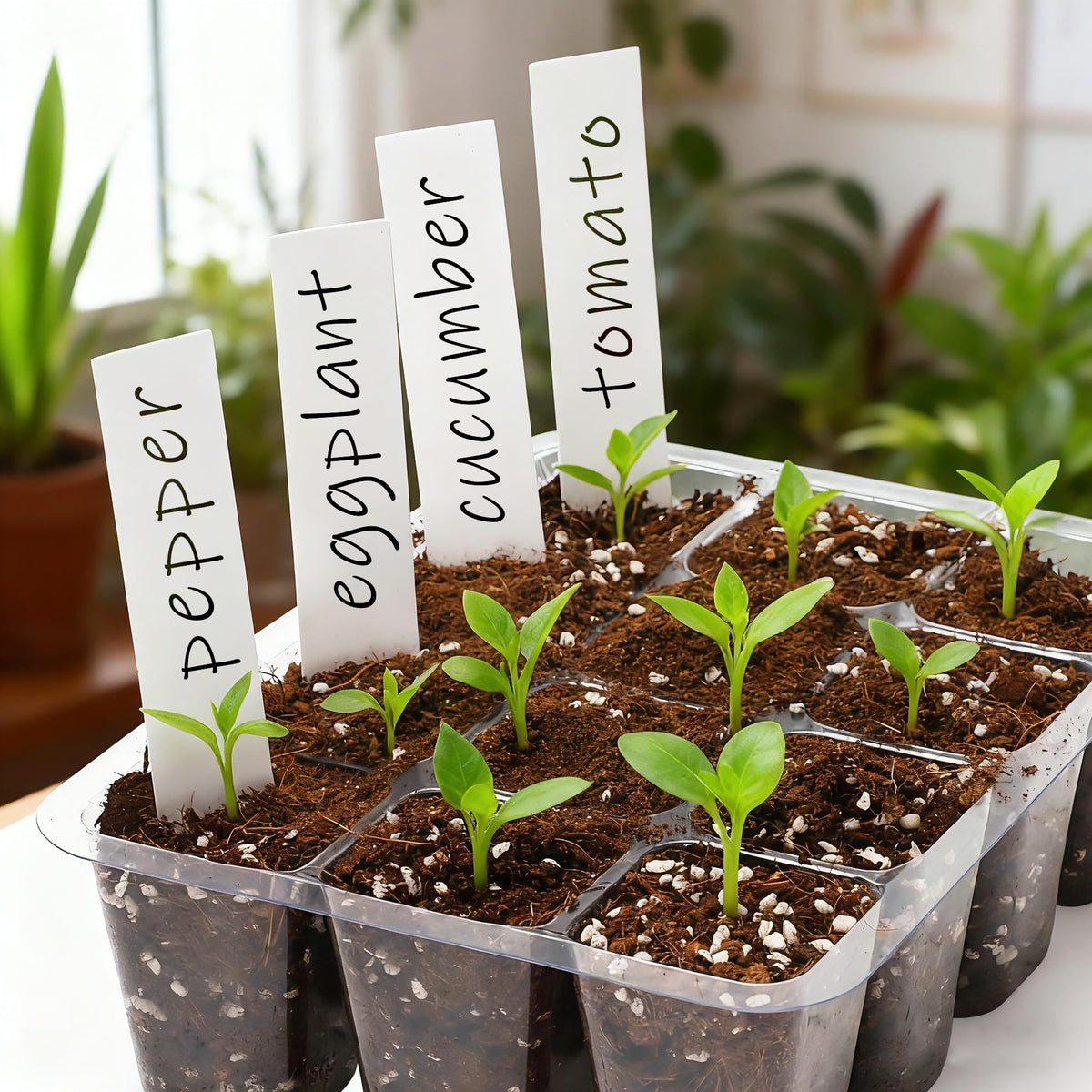Bonviee durable seed-start tray reduces replacements across growing seasons.