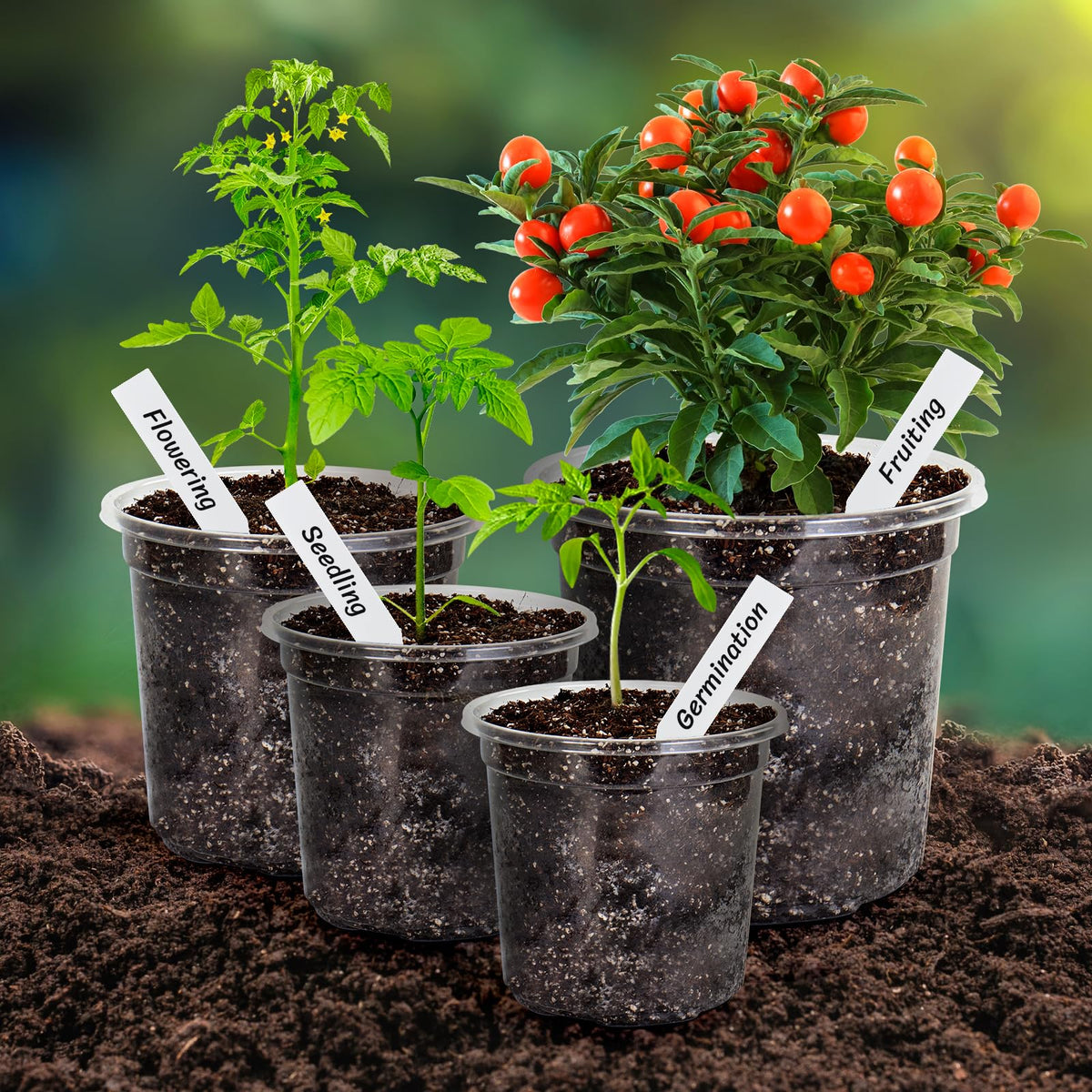 Bonviee easy-seedling removal squeeze pots simplify transplanting without root damage.