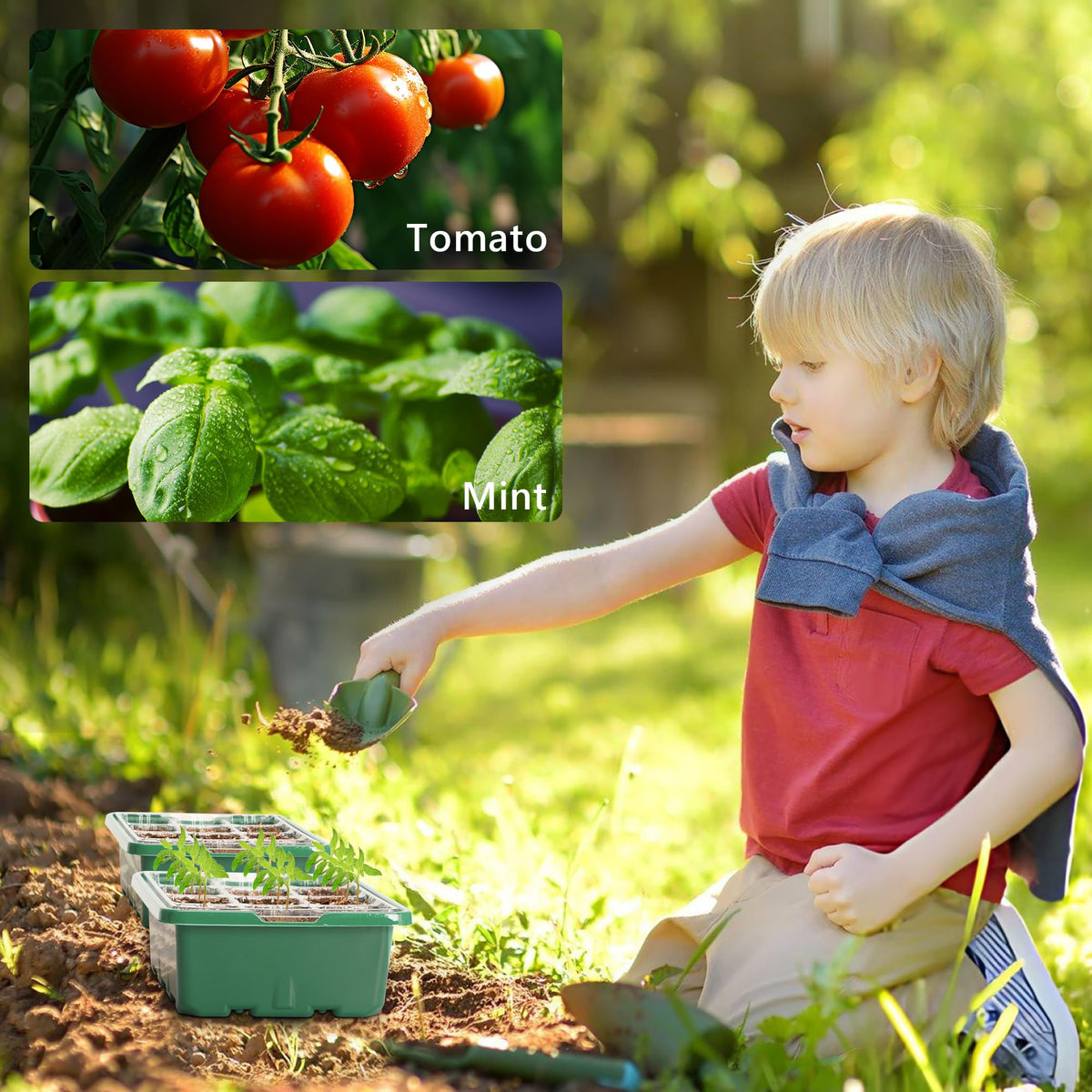 Bonviee greenhouse-ready seed starter tray for indoor gardening