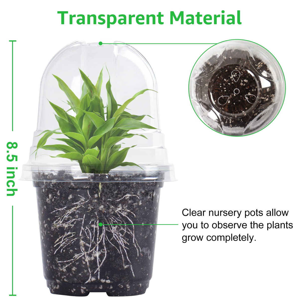 Bonviee humidity dome closeup highlights microclimate for faster seed germination.