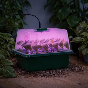 Bonviee indoor garden setup ready for at home seed starting