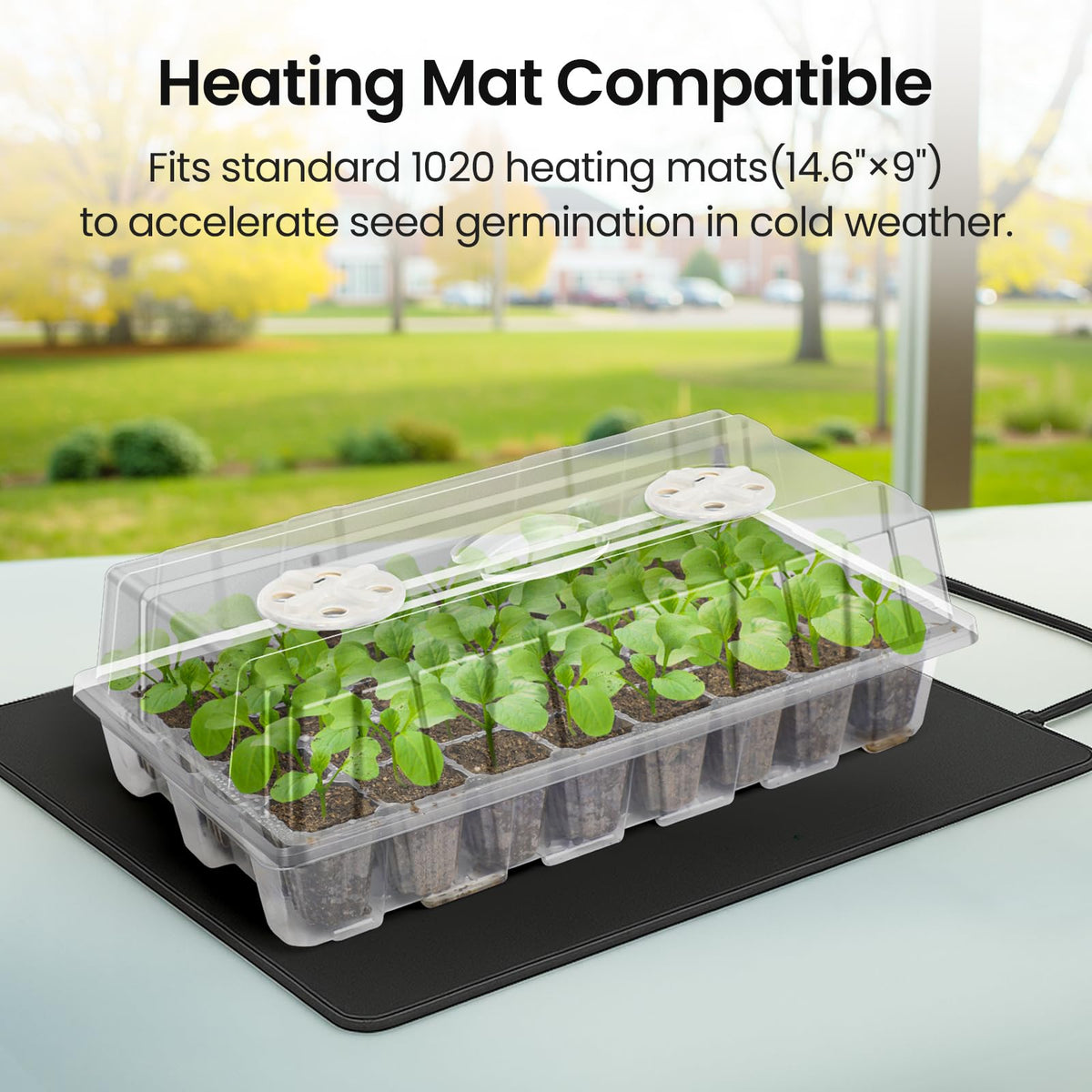 Bonviee lid with room allows larger plants to thrive.