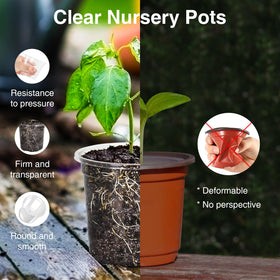 Bonviee raised-bottom ventilation pots enable better air circulation around roots.