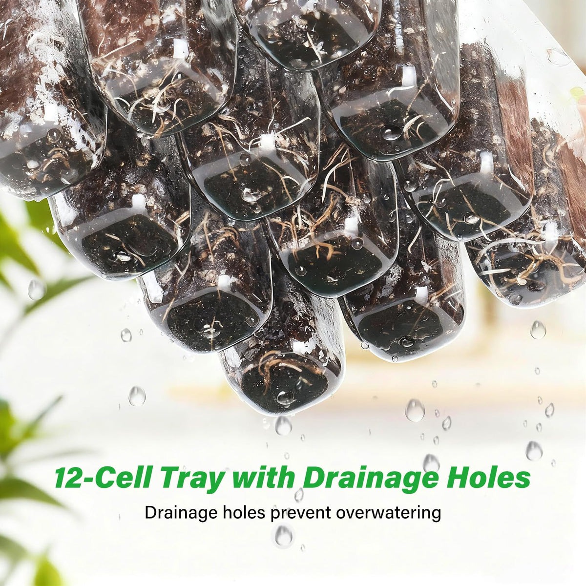 Bonviee reusable plastic tray offers durability for multiple planting cycles.