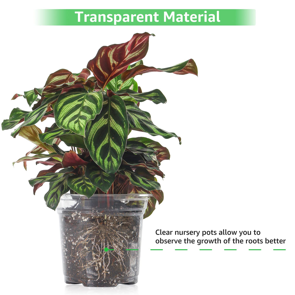 Bonviee reusable design supports multiple seasons and eco-friendly gardening.