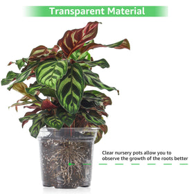 Bonviee reusable design supports multiple seasons and eco-friendly gardening.