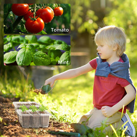 Bonviee seed starter kit with 10 packs keeps planting organized and efficient