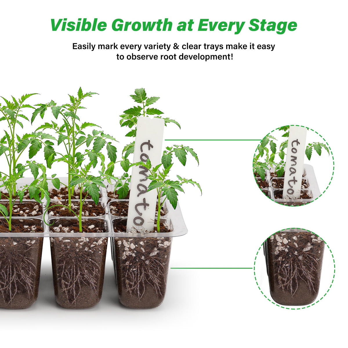 Bonviee seed starter base tray provides sturdy support for stacked seedling sets.