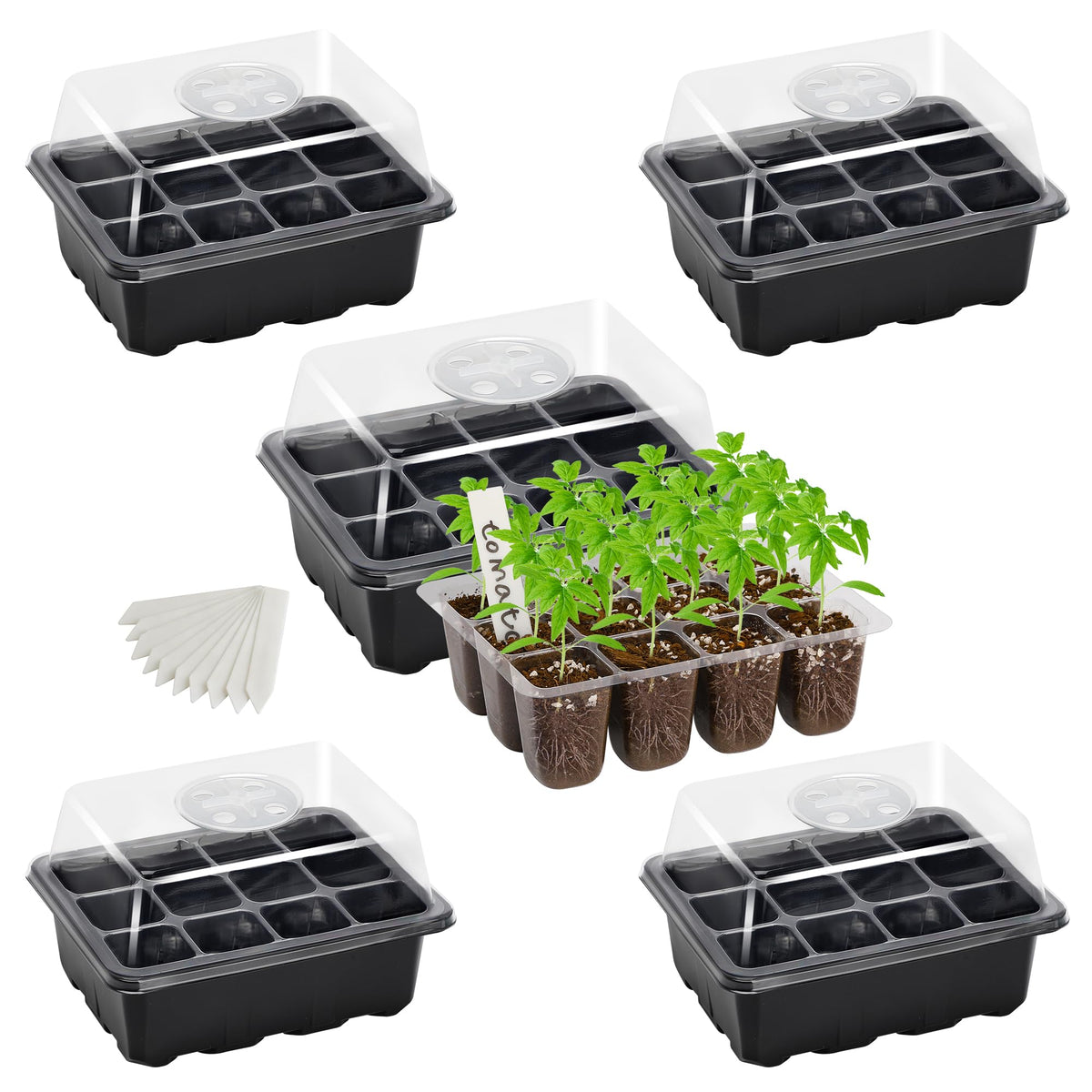Bonviee seed starter tray with clear dome for easy germination monitoring.