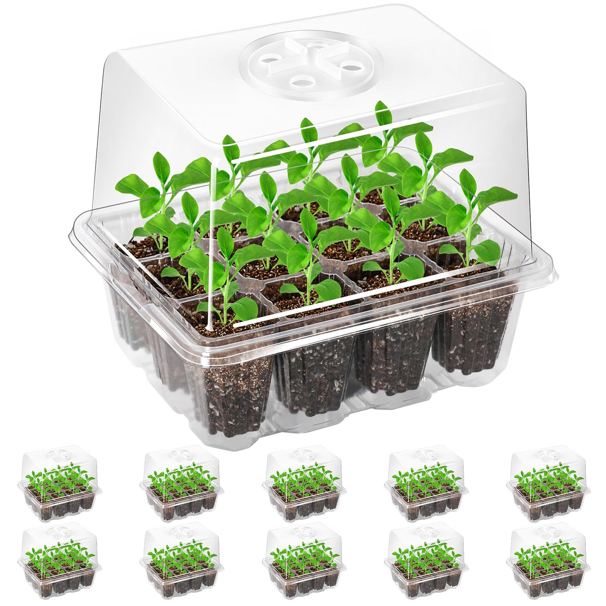 Bonviee seed starter tray with 120 cells and elevated lid for robust early growth