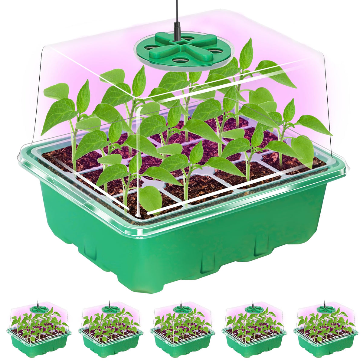 Bonviee seed starter tray kit five-pack for efficient germination