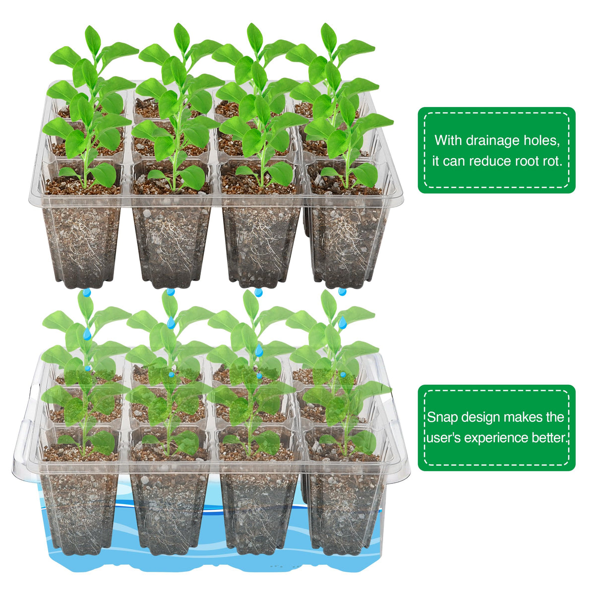 Bonviee seed starter tray adjustable ventilation tailors humidity for seedlings