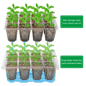 Bonviee seed starter tray adjustable ventilation tailors humidity for seedlings