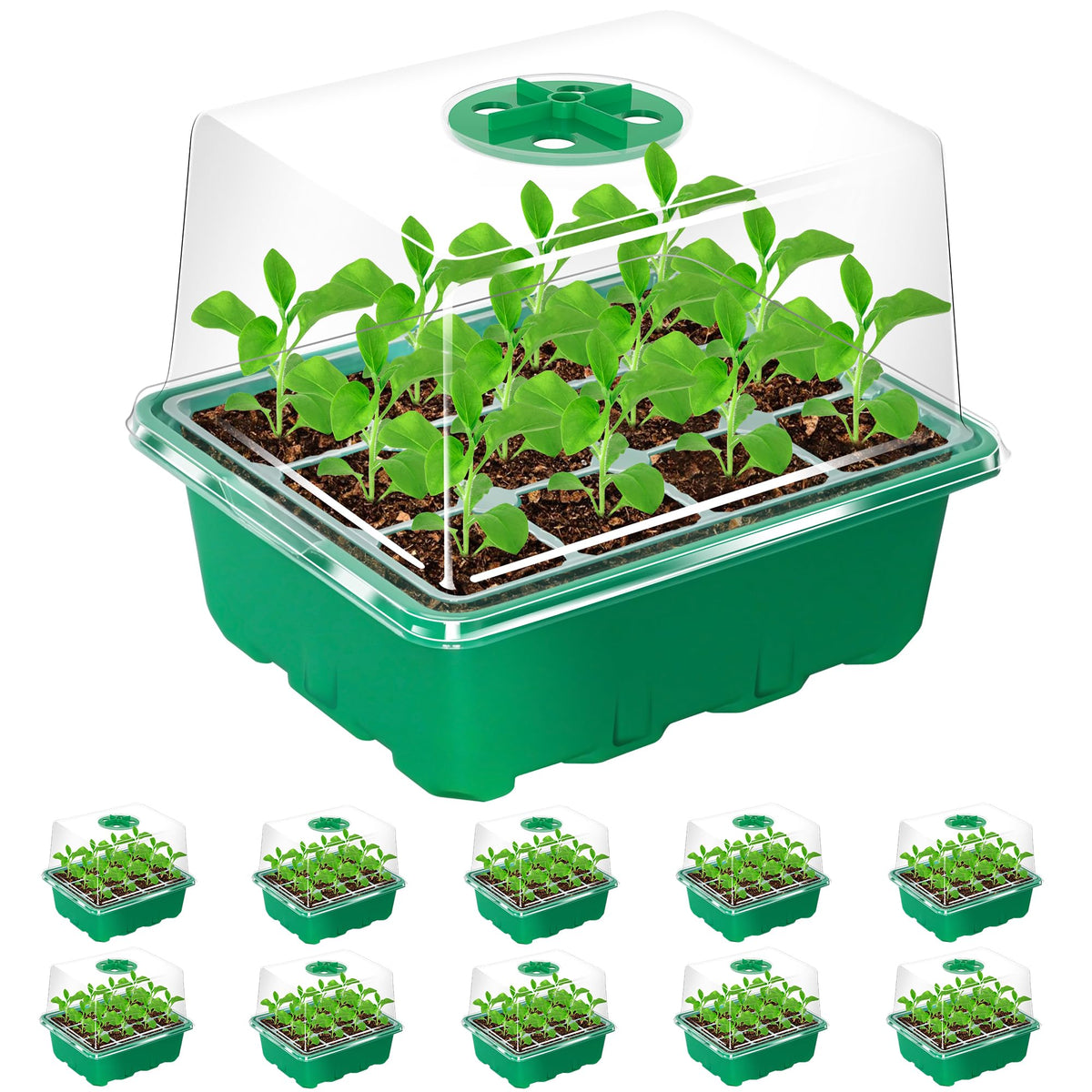 Bonviee seed starter tray with elevated lid showing 120 cells for robust seedlings