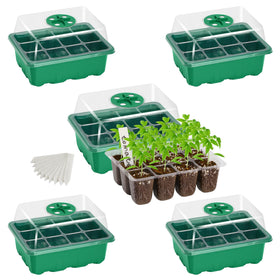 Bonviee seed trays with 12 cells provide a clear view for monitoring root growth