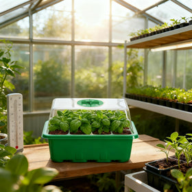 Transparent lids enable quick checks without disturbing moisture balance