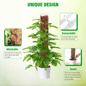 Bonviee moss-pole compatible with sphagnum moss for moisture retention.