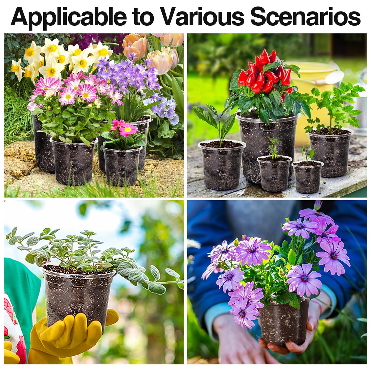 Bonviee vegetables succulents indoor plants pots suit versatile plant types.