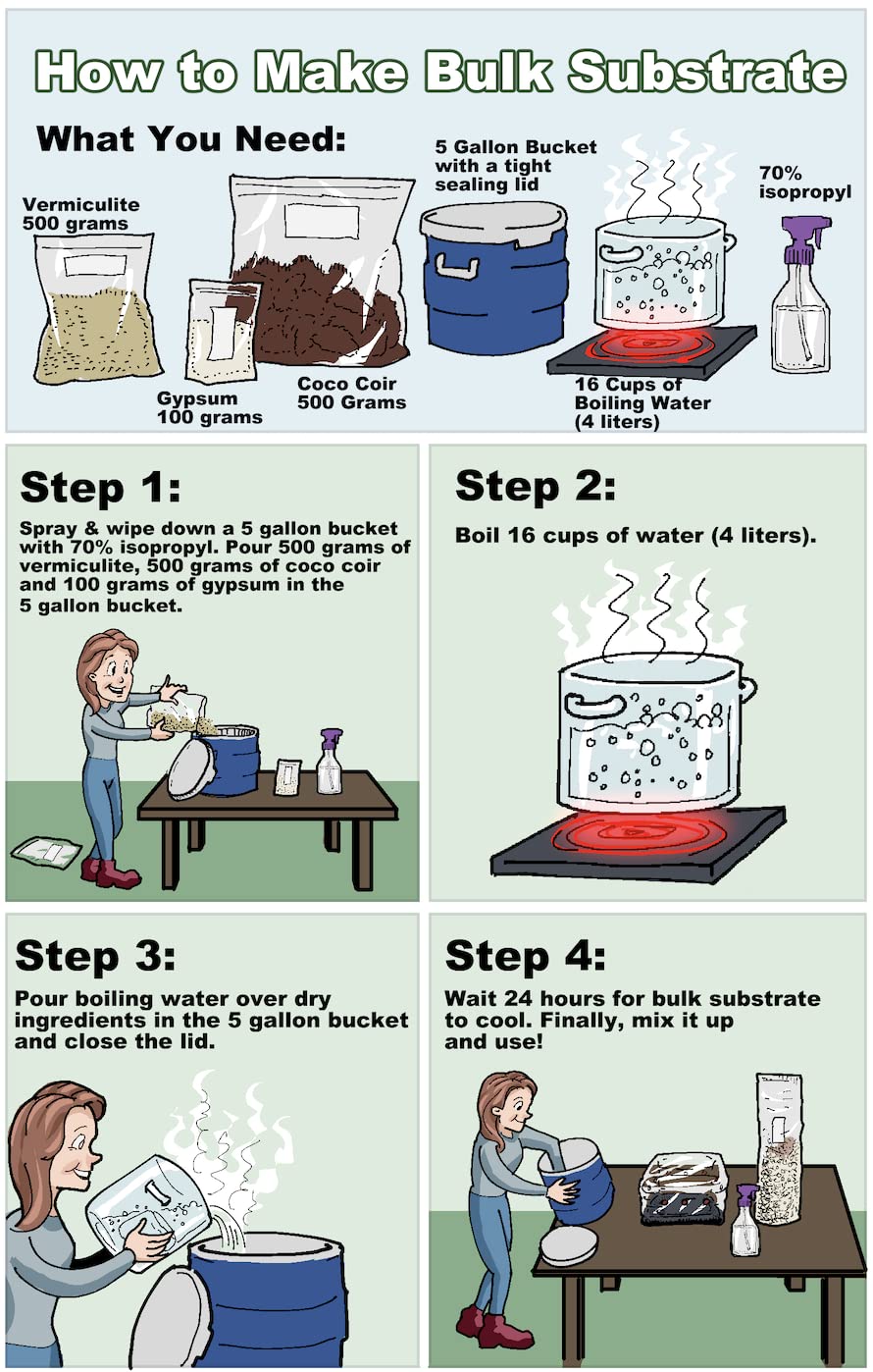 Boomer Shroomer beginner-friendly spawn-to-bulk setup in monotubs and trays