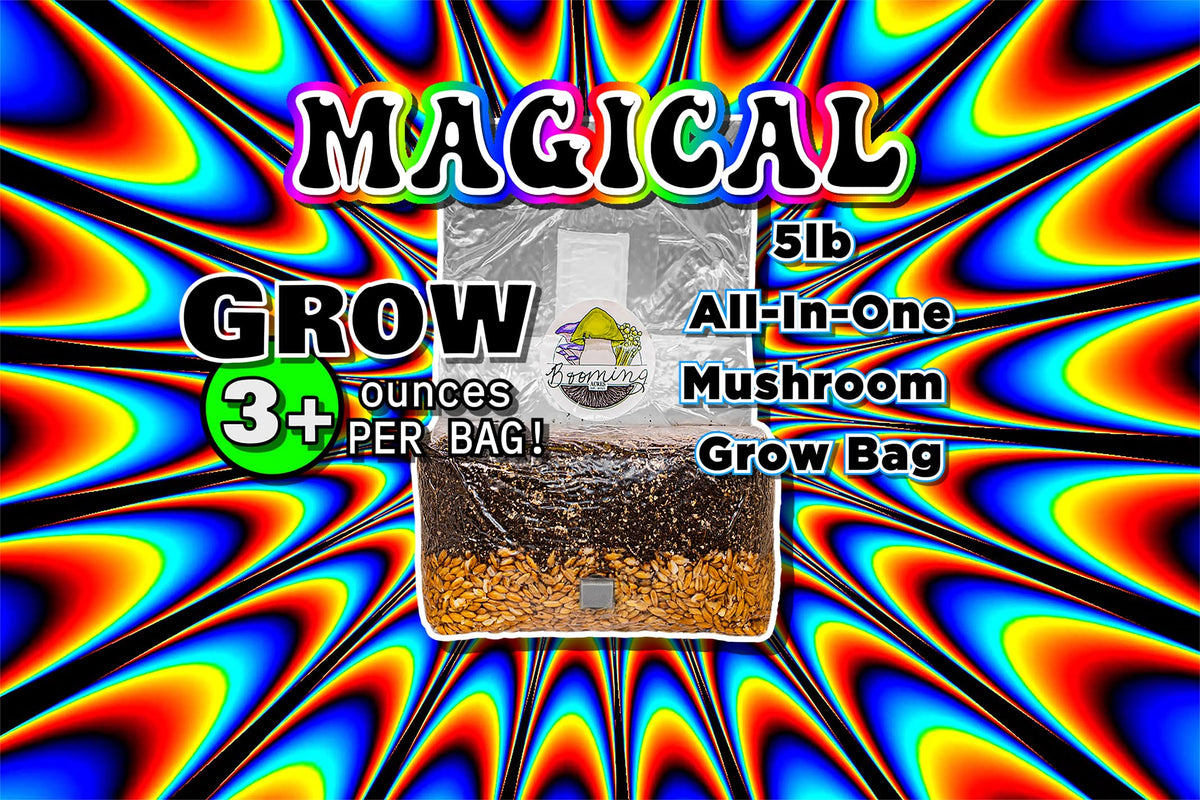 Booming Acres breathable 0-2 micron filter bag supports sterile, ready-to-use cultivation