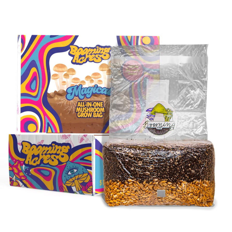 Booming Acres magical 5lb grow bag with inoculation port for easy mushroom cultivation