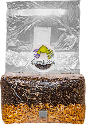 Booming Acres sterile ready-to-use grow bag ready for inoculation and quick setup