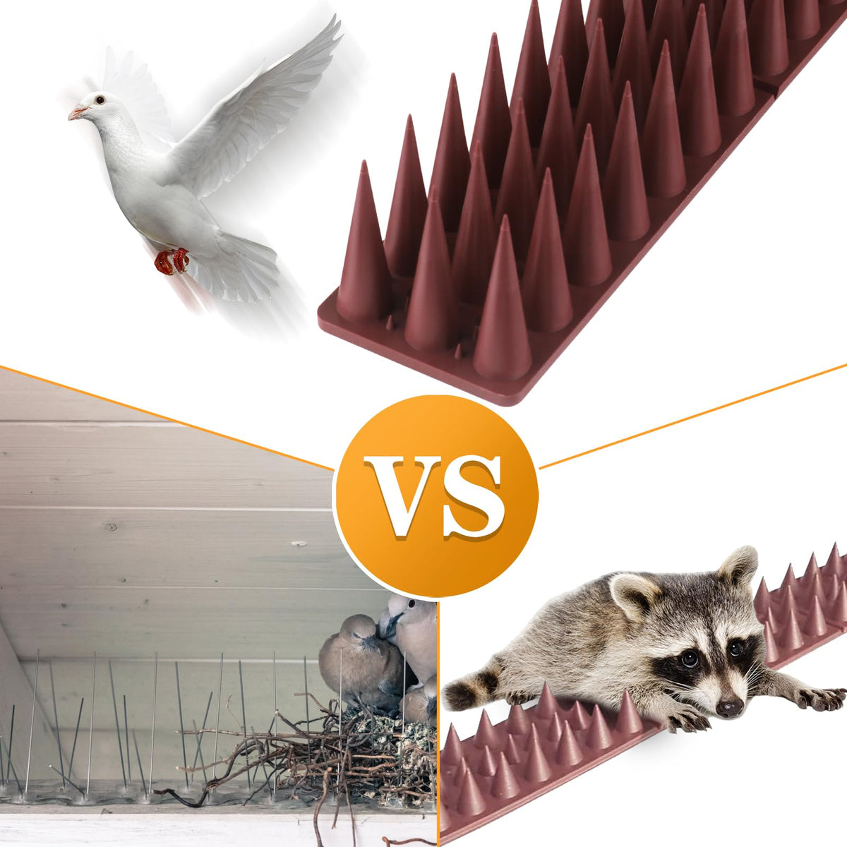 BORHOOD Bird Spikes at balcony edge prevent roosting.