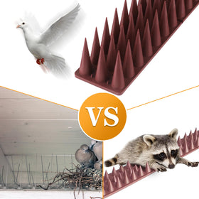 BORHOOD Bird Spikes at balcony edge prevent roosting.
