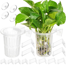 Borlech aquarium plant holder with extension hooks for stable hanging placement