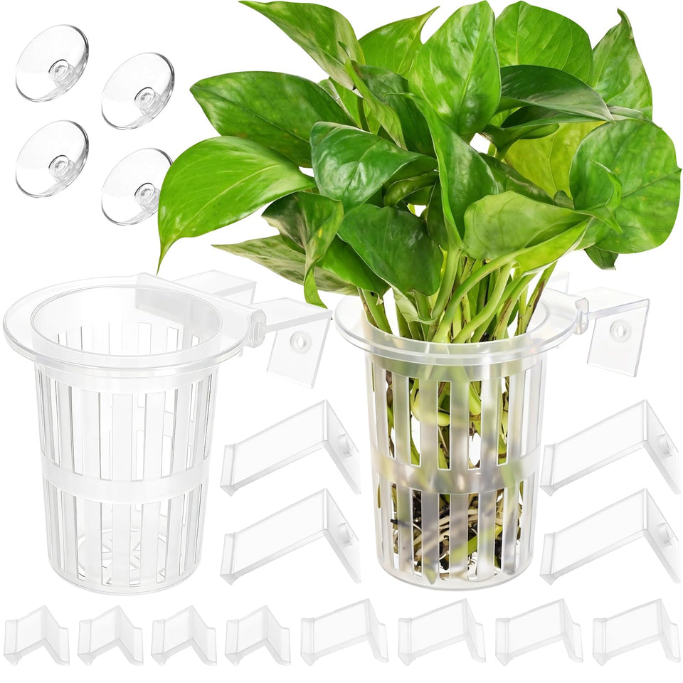 Borlech aquarium plant holder with extension hooks for stable hanging placement