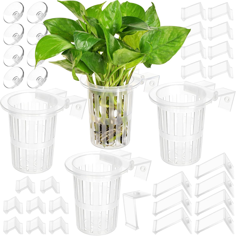 Borlech aquarium plant holder side view, discreet decoration with root protection