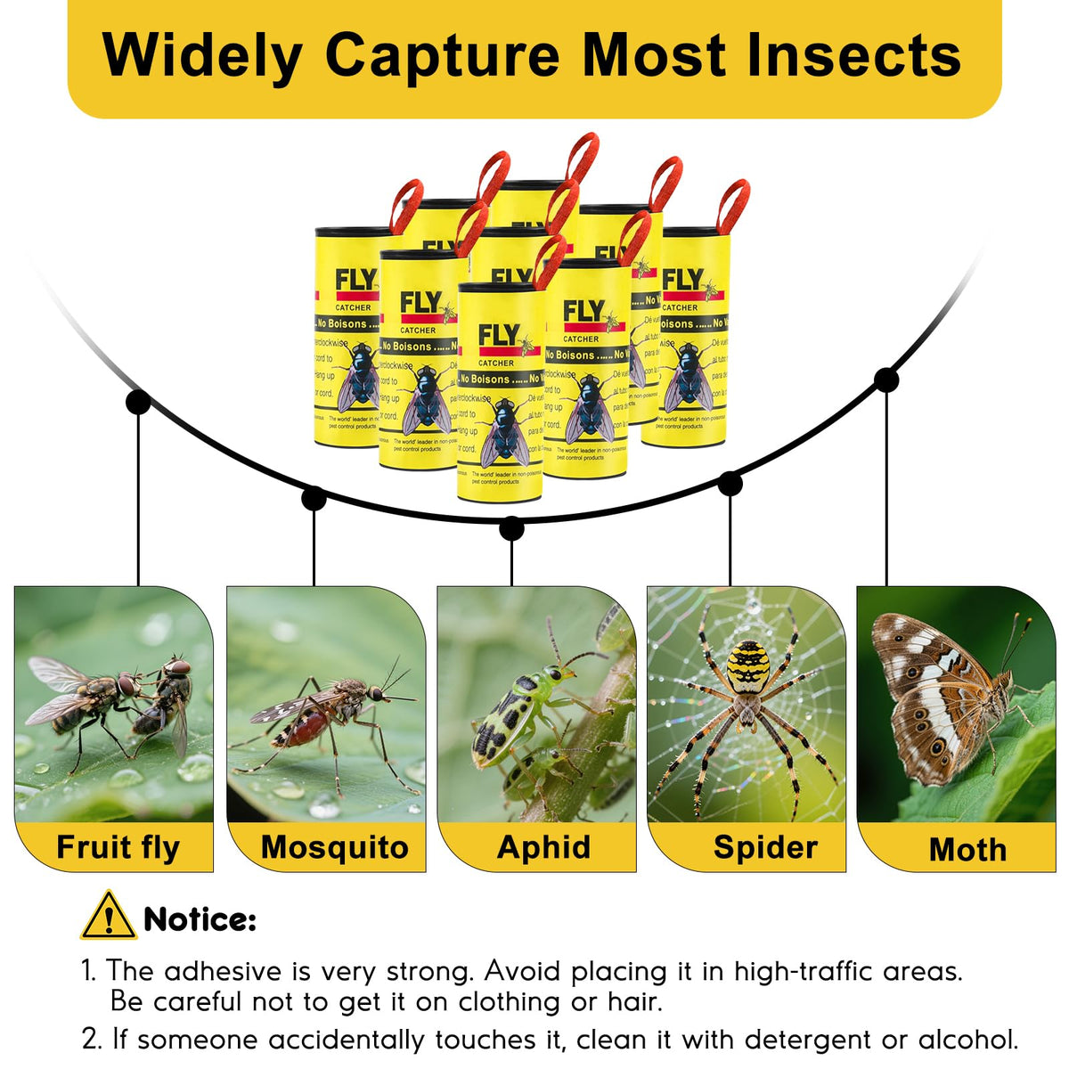 Boromine fly strip rolls hanging setup catching pests indoors and outdoors.