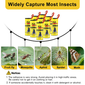Boromine fly strip rolls hanging setup catching pests indoors and outdoors.
